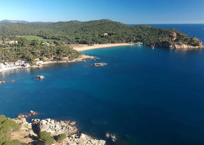 Ancora * 帕拉莫斯